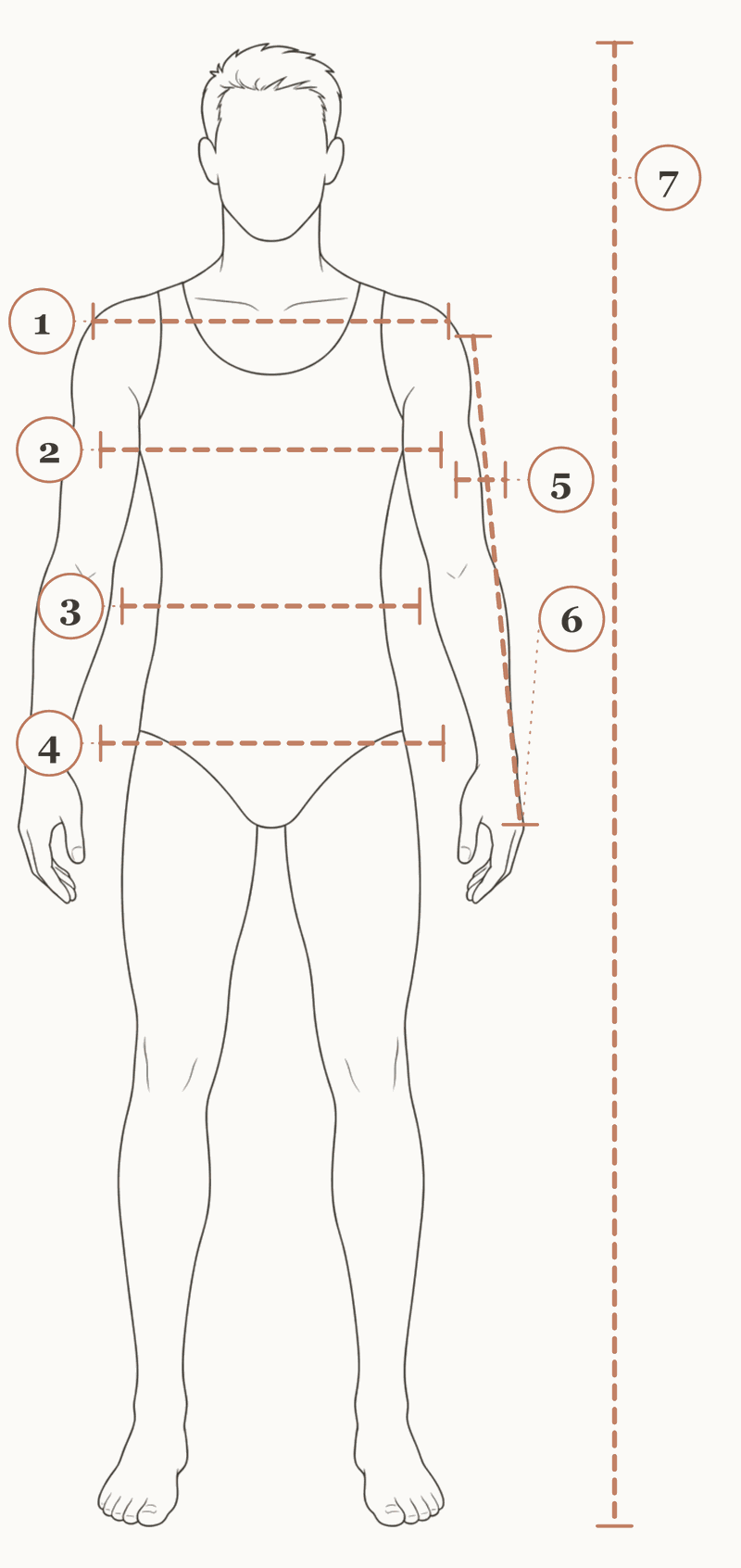 Men's body reference